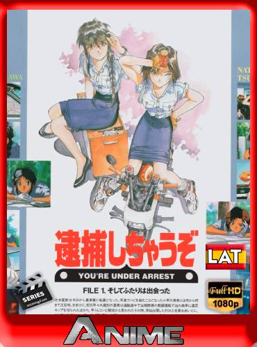 ¡Están arrestados! (1994) [BDrip-1080p][Lat-Jap-Eng+Subs] [Googledrive]