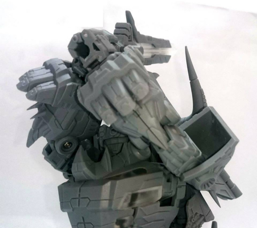 10888721_757144391038639_5193091281075085323_n