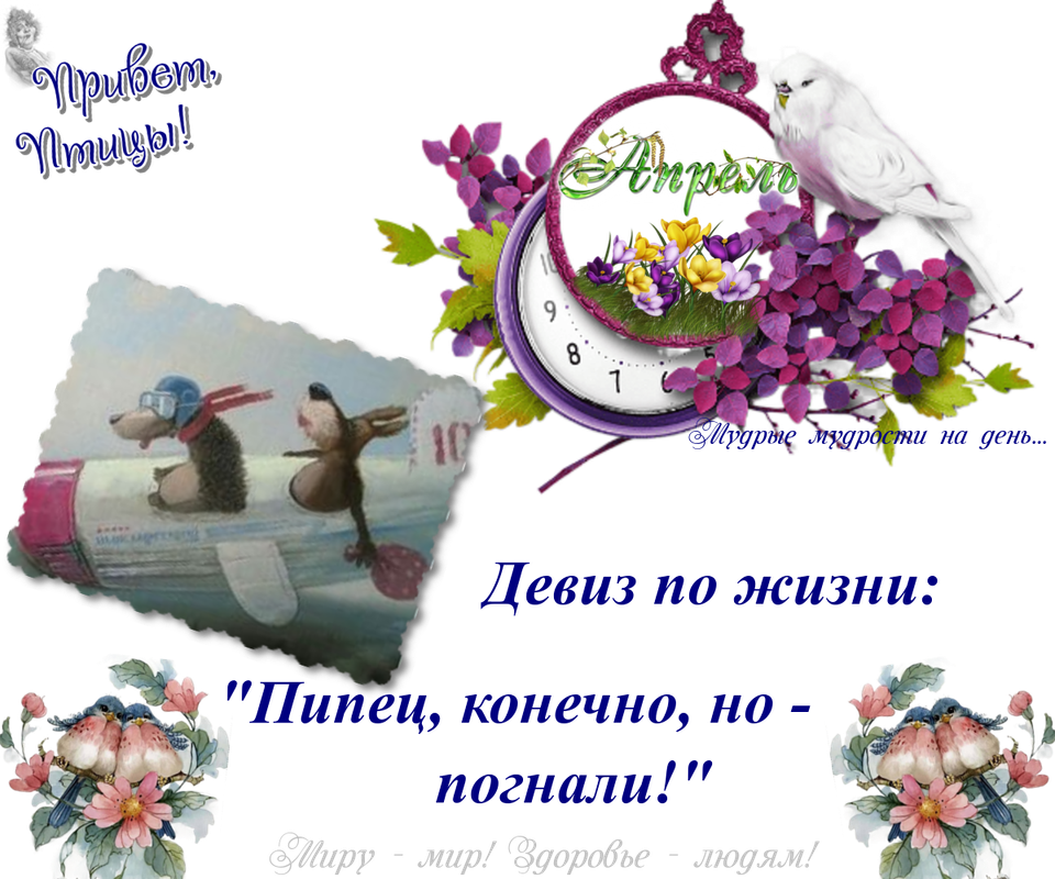 https://i.postimg.cc/J0C8ZLhw/12-04.png