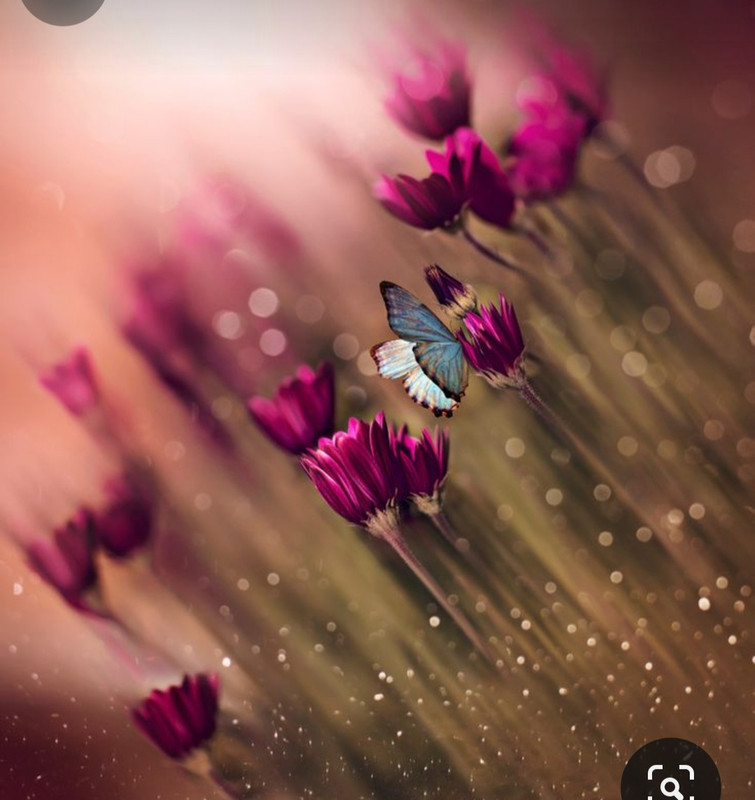 Screenshot_20240425_222832_Pinterest