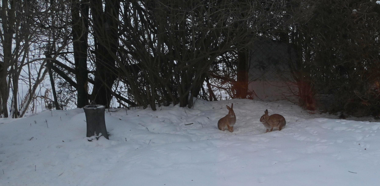 Peter brought a friend with him