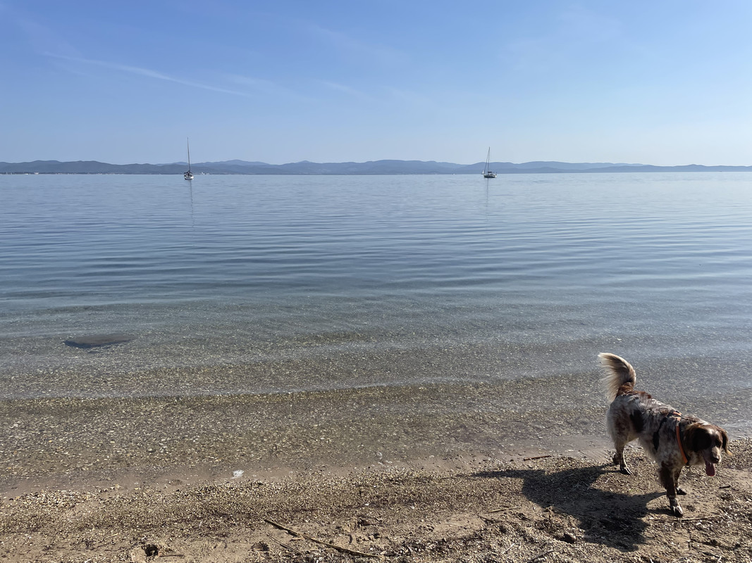 939C87EE-3337-48EA-BCBB-DAAC5AE9F635