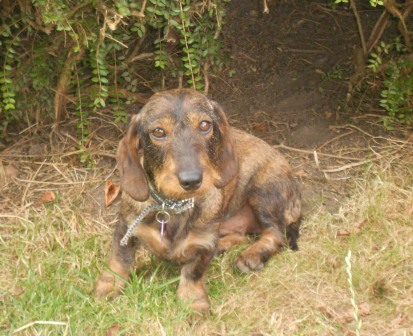 [Image: DSCN3210.jpg]