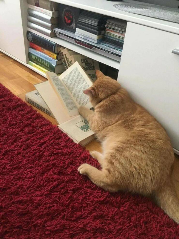 daily-picdump-44-1.jpg