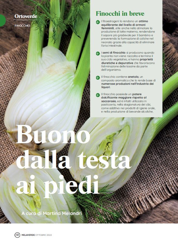 melaverde Ott 2022 (7)