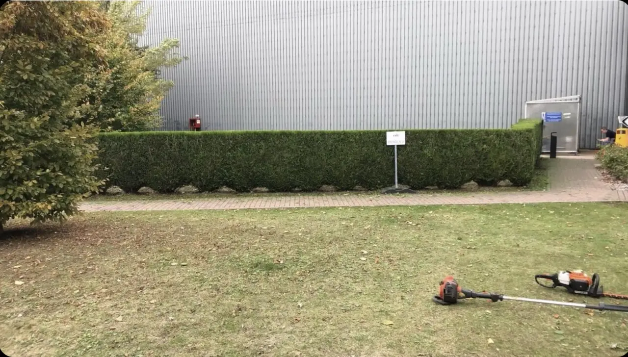 Terrasse zen avec bassin