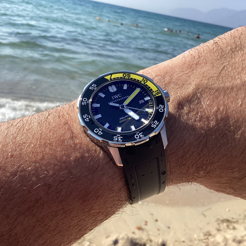 C542613D-A6F3-4EE4-970E-F0D7371DA8C2