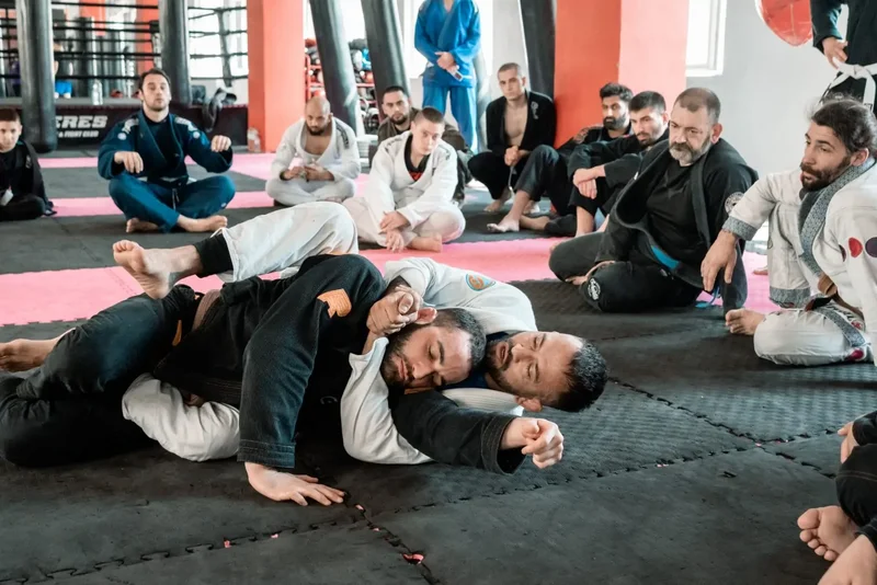 Teres Gym and Fight Club станаха представители на Checkmat Jiu-Jitsu