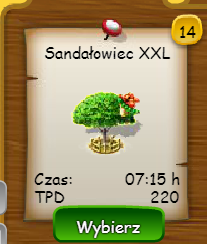 Sandałowce