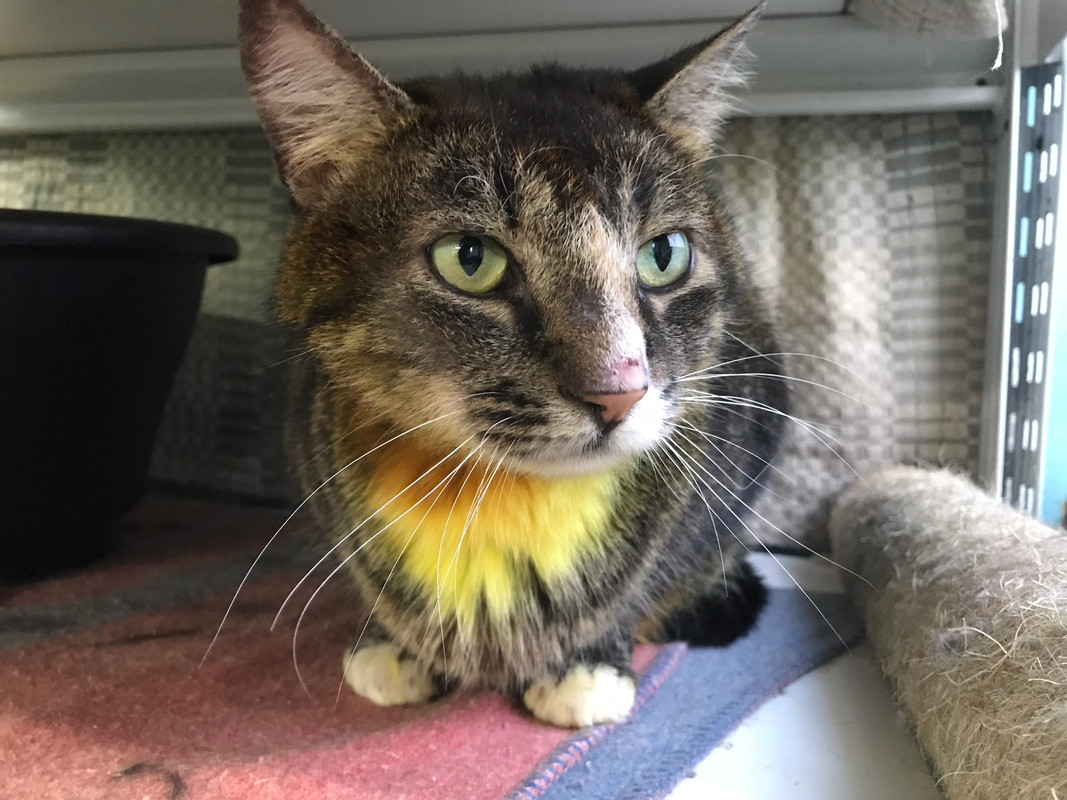 066F52A4-2557-4150-ACF3-1A0C419305D3