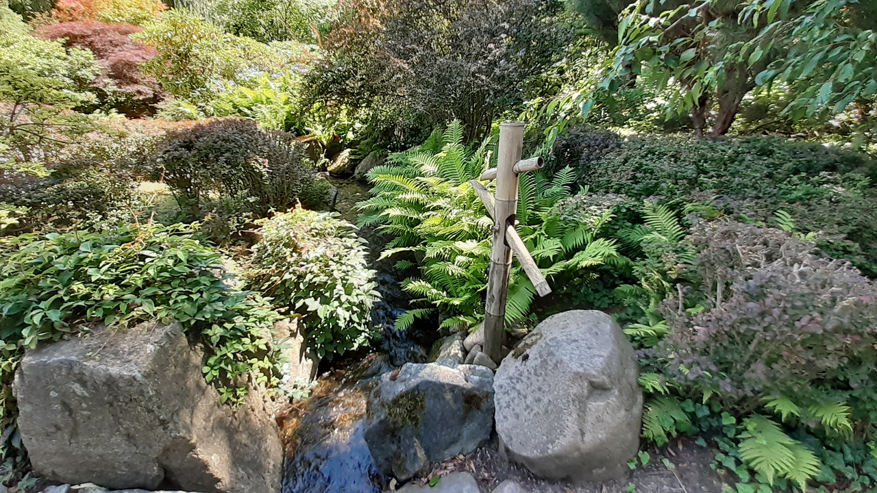 004 - 20200728_122820