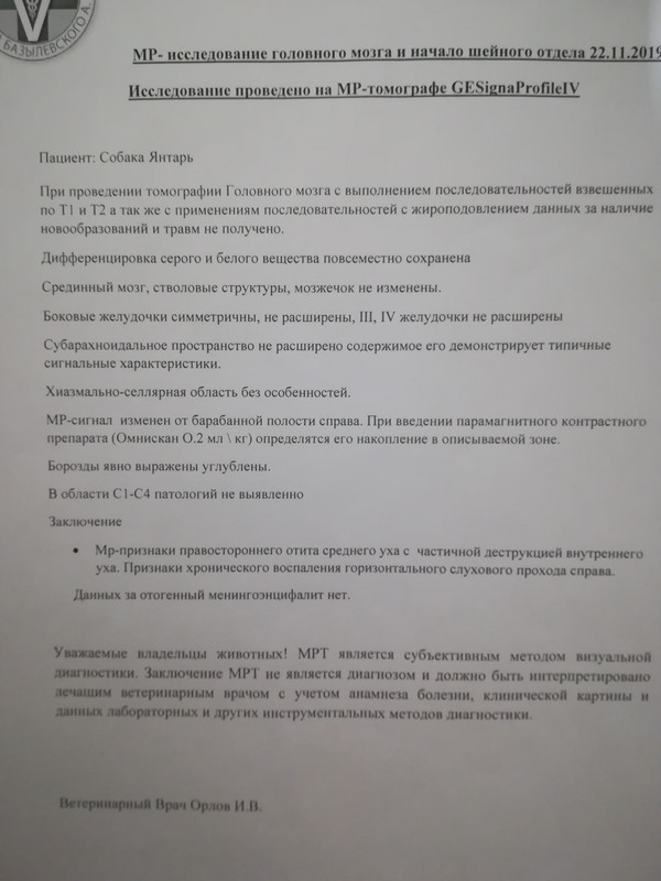 IMG_20191128_234449 (1)