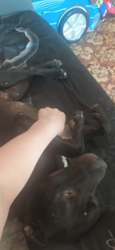 A4EE7D74-F1A6-46EB-8E04-92CD909A62E9