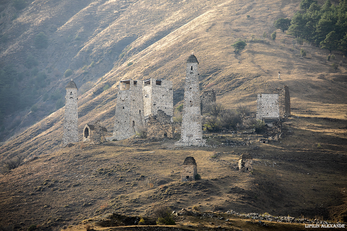 0802EADF-F33B-42C6-8985-D99694F45A8D