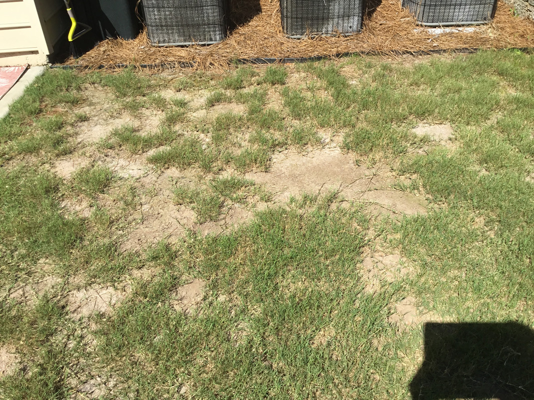 0E992B71-225A-4C33-8D7E-7B7DF3001FCE