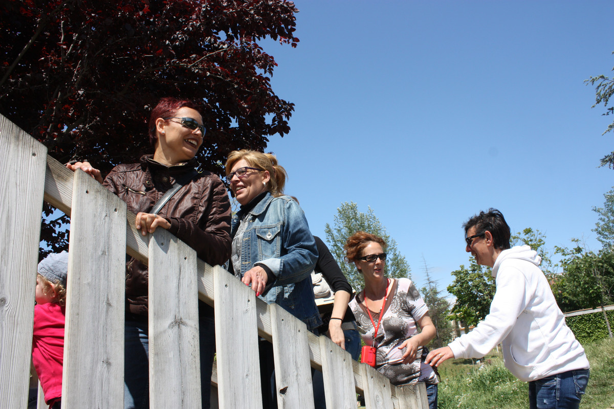 PARQUE FRANCESC MACIA IMG-9323