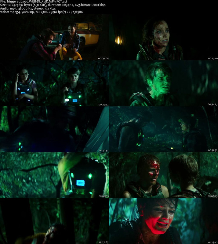 Triggered-2020-WEB-DL-Xvi-D-MP3-FGT-s.jpg