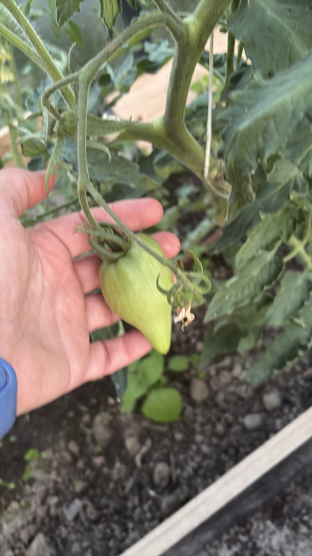 386A002D-4E34-4BB4-8D54-7EBC9D2A1205