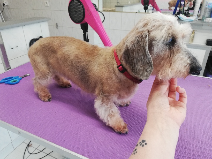 [Image: PART-1615905321433.jpg]