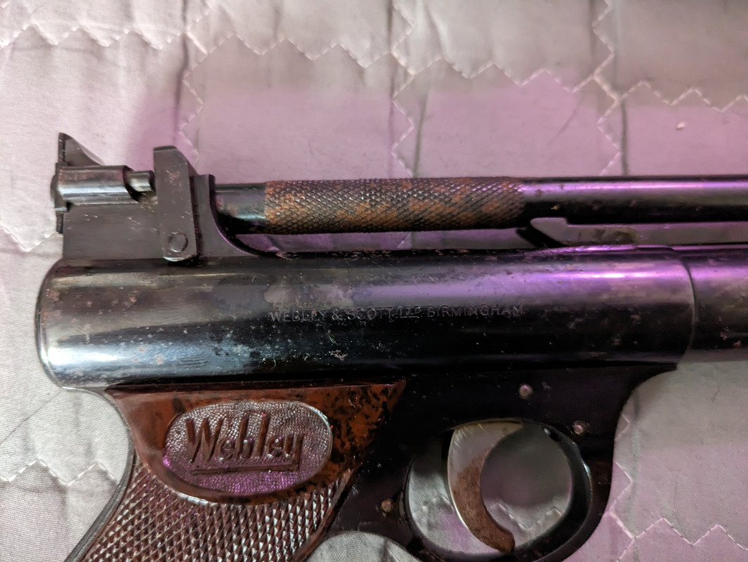 PXL_20230819_073813914