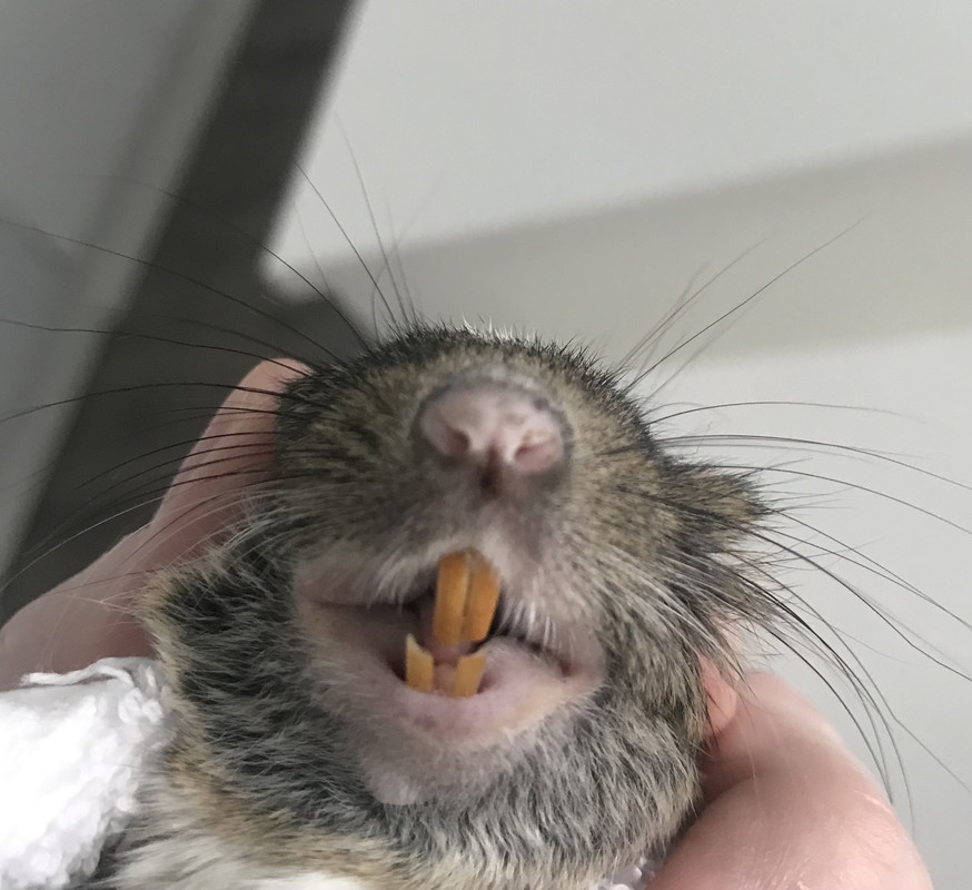 74F0A912-51B8-4DE0-BEFA-1B3B147829AF