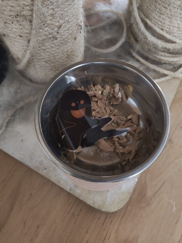 IMG 20251101 105556673