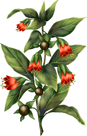 ISmellAutumn-LL-Element57