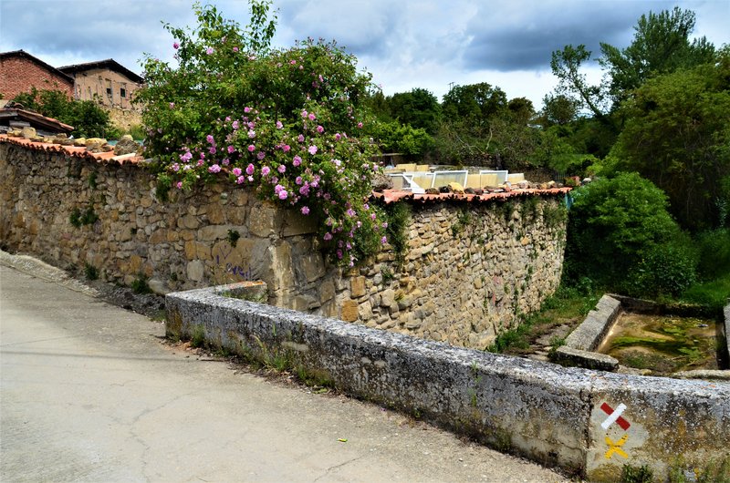 VALLE SALADO DE AÑANA-21-5-2021 - Alava y sus pueblos-2011/2021 (72)