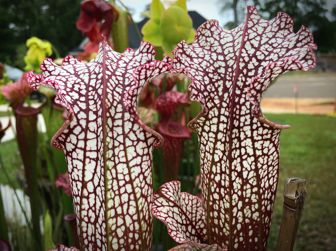 B0967778-4390-4C85-B72E-BE1C9E6106CD