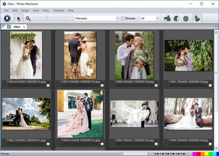 Camera Bits Photo Mechanic 6.0 Build 6097 (Win x64)