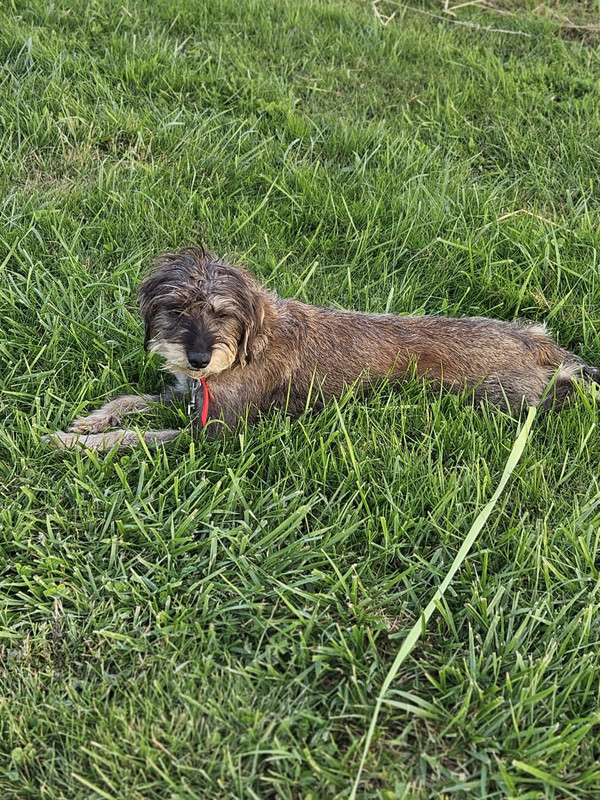 [Image: IMG-20240611-WA0007.jpg]