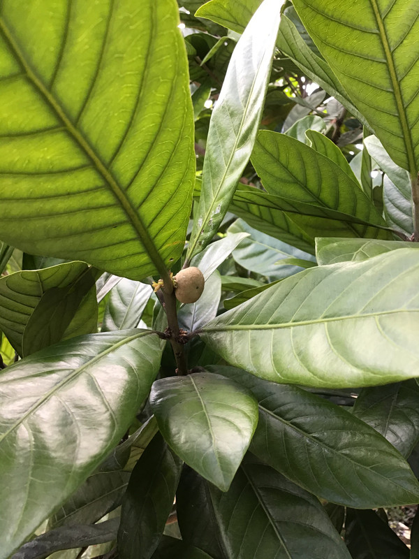 5C8B69B7-9D0A-427C-8C15-D12BB8CD9010