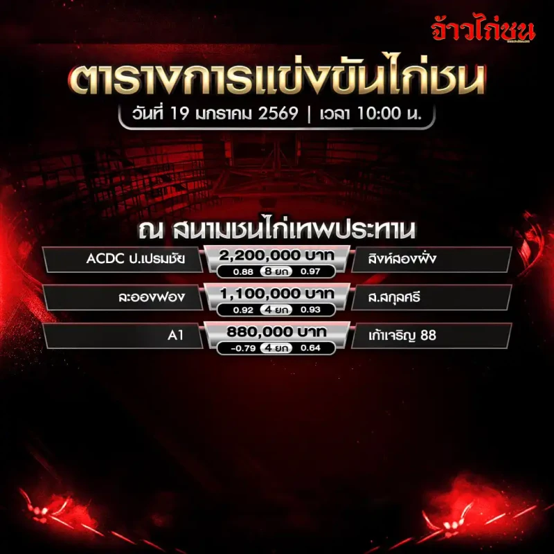 โปรแกรมไก่ชน สนามชนไก่เทพประทาน วันที่ 19 มกราคม 2569 เวลา 10:00 น. ตารางโปรแกรมการแข่งขัน