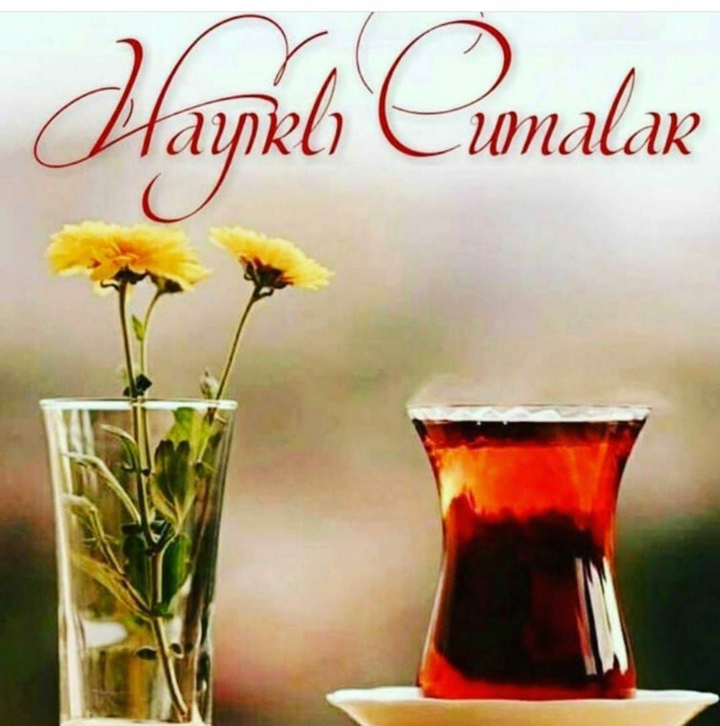 8E20FCE8-3282-43F4-BCBF-870687D9CA89