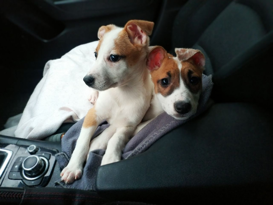 60989A62-409A-4F36-9F23-5B7A46432A4E