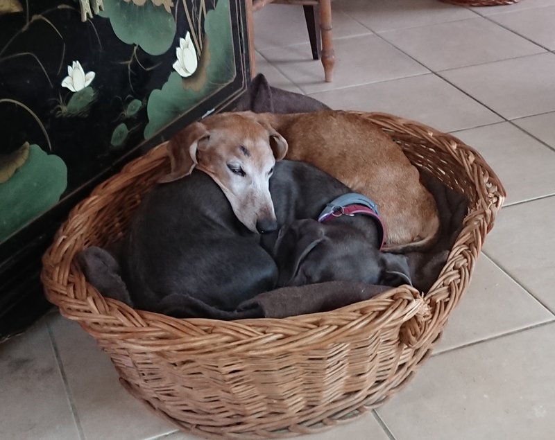 [Image: 20250205-113035.jpg]