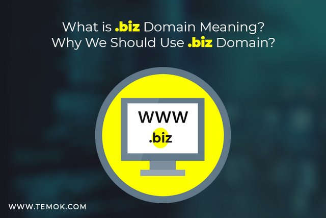 biz_Domain_Meaning_What_it_is_and_Why_We_Should_Use_it.jpg