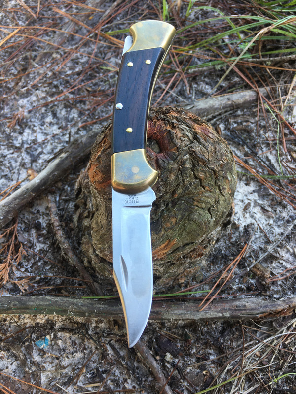 0BF58BAB-569D-48FF-A2E8-503A3A09C6A4