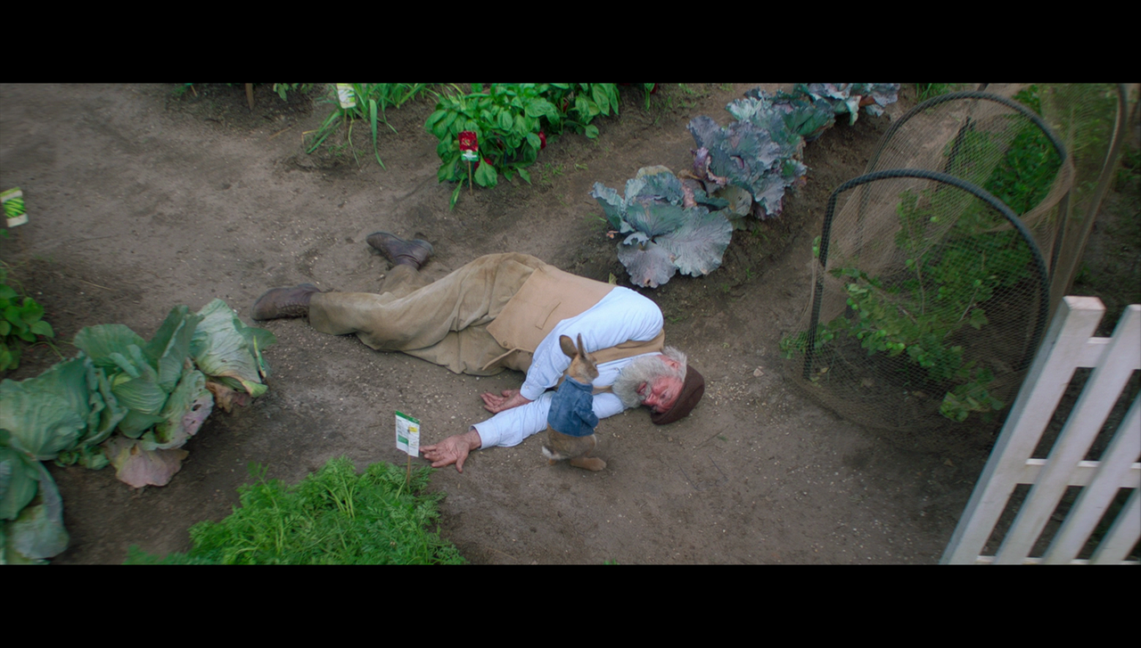 vlcsnap-2018-05-01-11h26m33s363