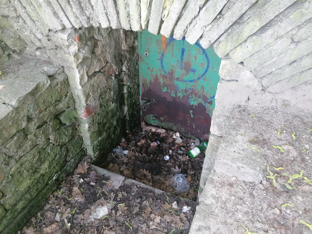 07.10 - IMG_20200612_130316 (Czesio1)