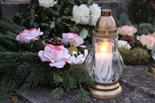 [Image: 72727ff15dc273e889a6634ec22d061af4ef23ed.jpg]