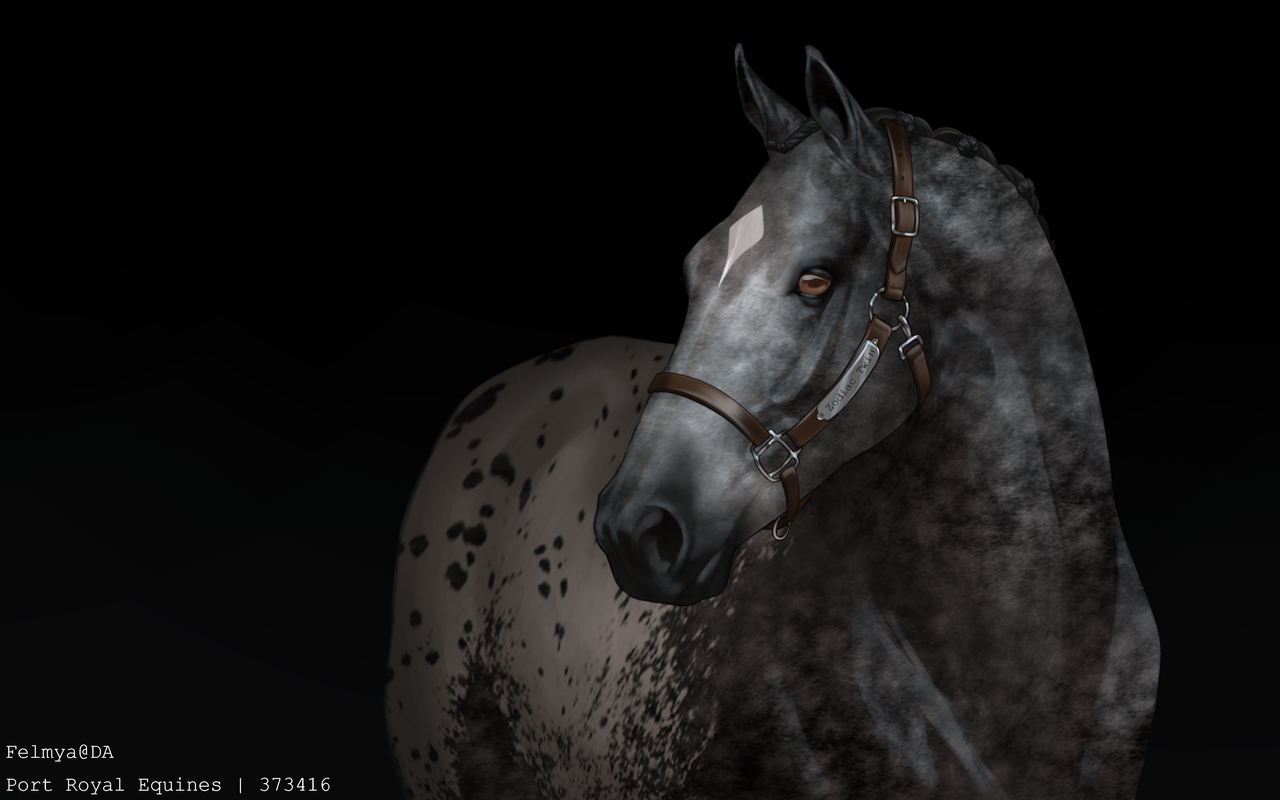Custom_Base_adult_portrait_PortRoyalEqui2_20241015005428.png