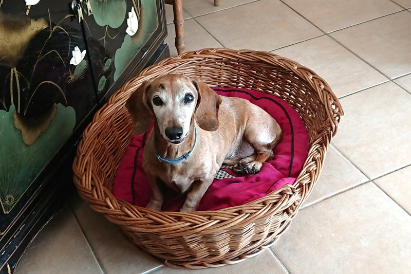 [Image: DSC-3956.jpg]