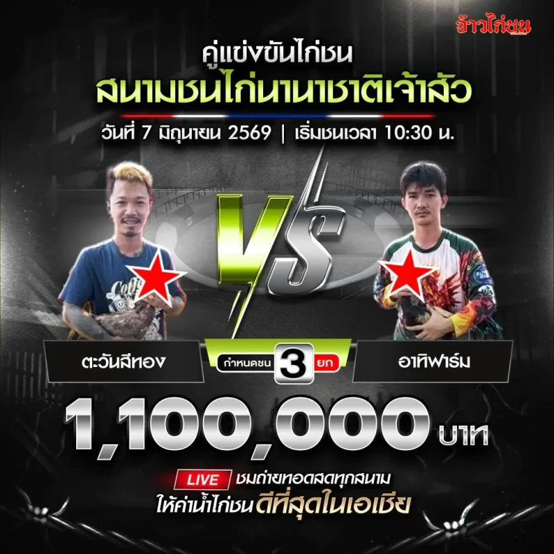 ตะวันสีทอง vs อาทิฟาร์ม สนามชนไก่นานาชาติเจ้าสัว วันที่ 7 มิถุนายน 2026