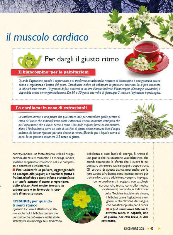 Sal Nat Dic 2021 (8)