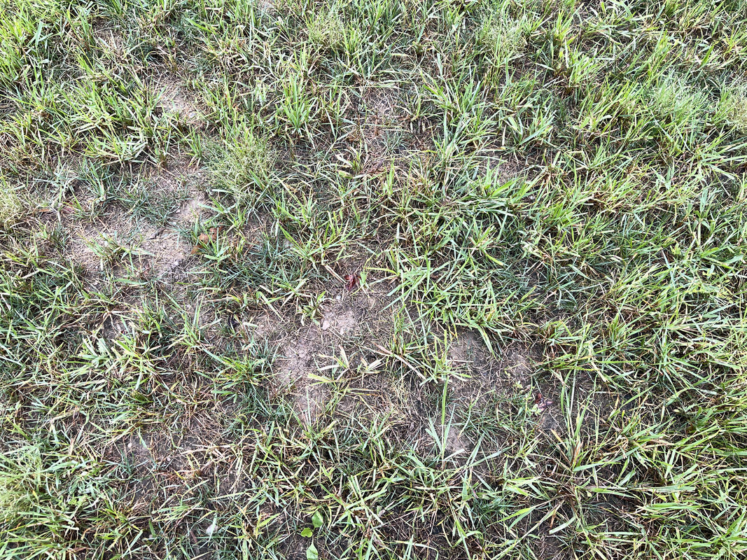 EDDC6C15-FDFF-4848-9F40-4F9A40767858