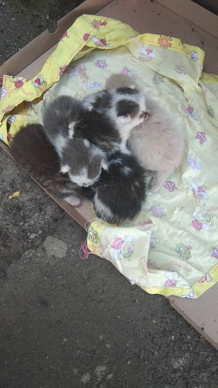 42135662-BF80-4776-85E8-D9F073203EE4