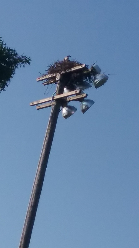 20180726_181009