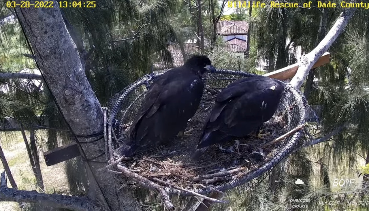 008DE838-C562-4912-8A95-5FCFF9F16B2D