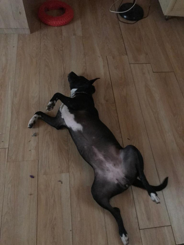 0125F420-2C7C-4C89-BA71-DD9BB0FA39DE